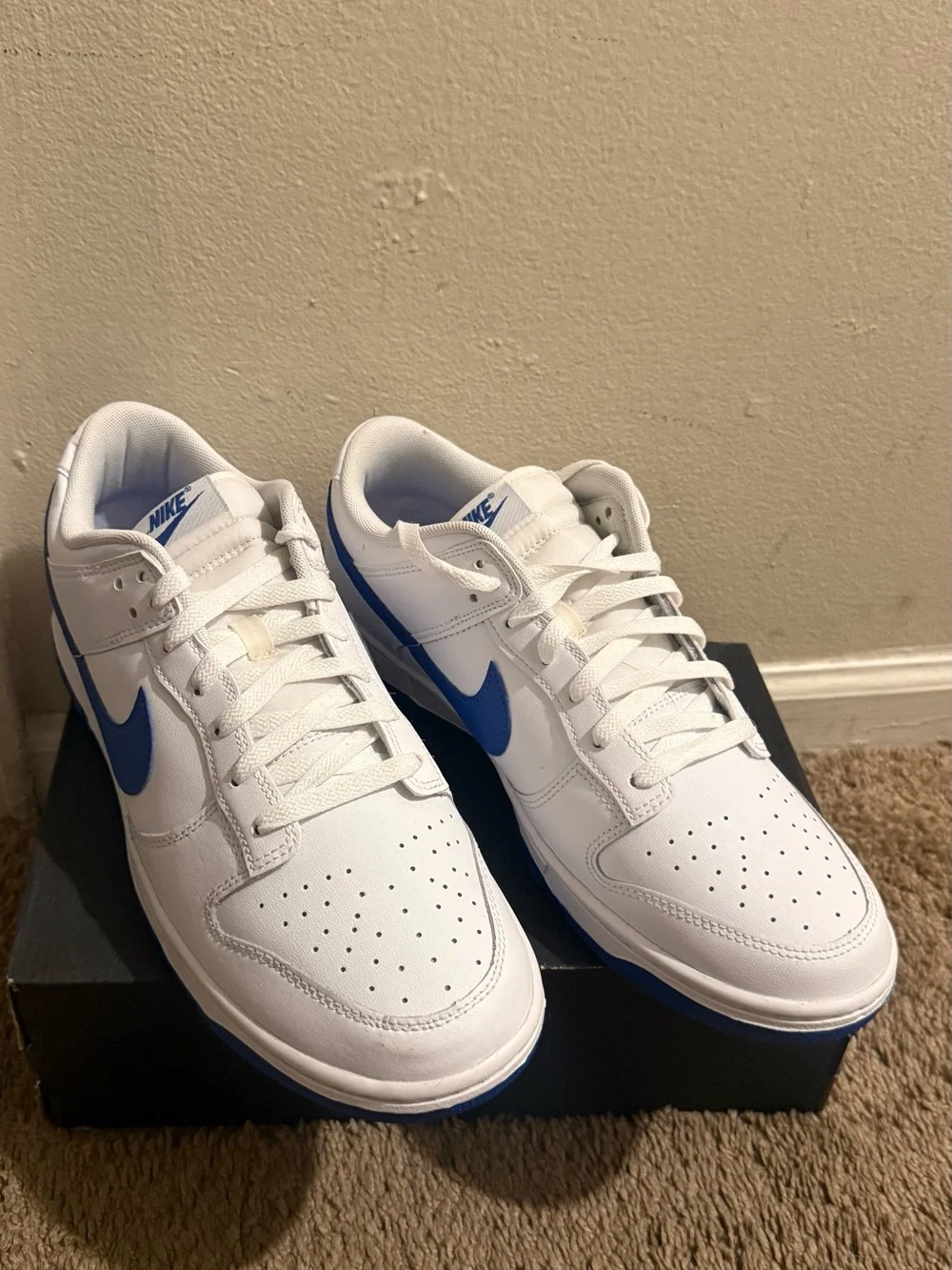 Nike White and Blue Low-Top Athletic Sneakers